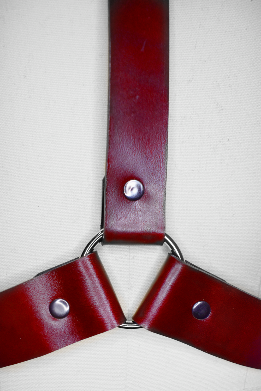 OXBLOOD LEATHER HARNESS
